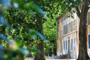 From Nice: Provence Wine Full-Day Tour