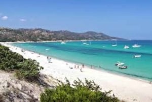 From Nice: Saint-Tropez and Port Grimaud Tour