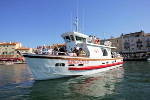 From Nice: Saint-Tropez and Port Grimaud Tour