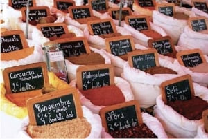 From Nice : Saint-Tropez et Port Grimaud