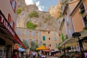 From Nice: The Grand Canyon of Europe & its Lavender Fields