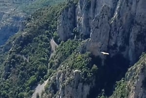 From Nice: The Grand Canyon of Europe & its Lavender Fields