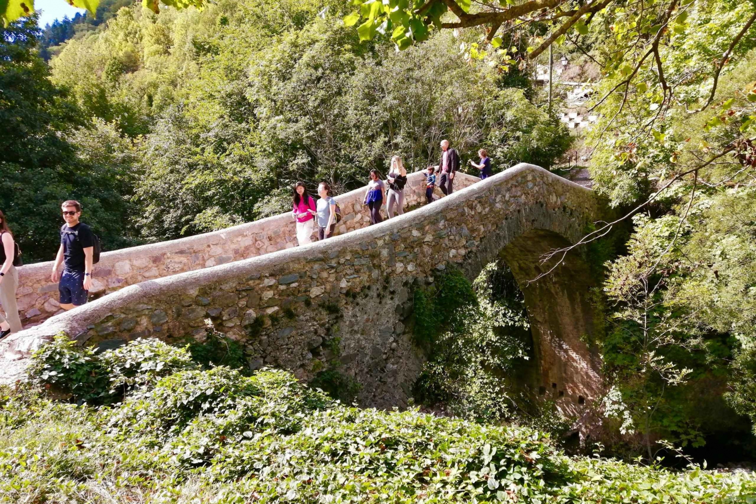 From Nice: Historic Train Ride & Alps Villages