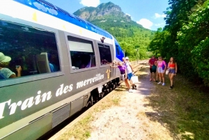 From Nice: Historic Train Ride & Alps Villages