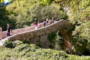 From Nice: Historic Train Ride & Alps Villages