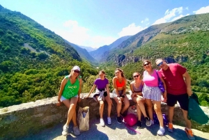 From Nice: Historic Train Ride & Alps Villages