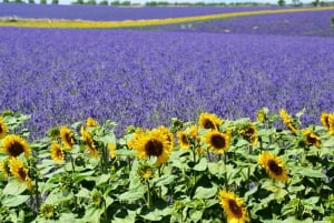 From Nice: Verdon Gorge Full-Day Tour