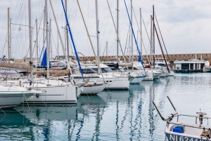 From Nice: Wine Tasting, Cannes, and Countryside Tour