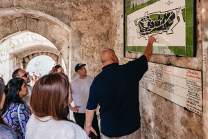 From Nice: Wine Tasting, Cannes, and Countryside Tour