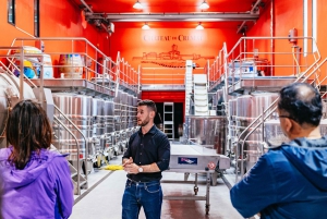 From Nice: Wine Tasting, Cannes, and Countryside Tour