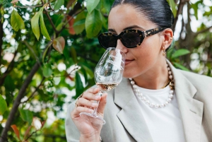 From Nice: Wine Tasting, Cannes, and Countryside Tour