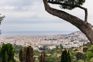 From Nice: Wine Tasting, Cannes, and Countryside Tour