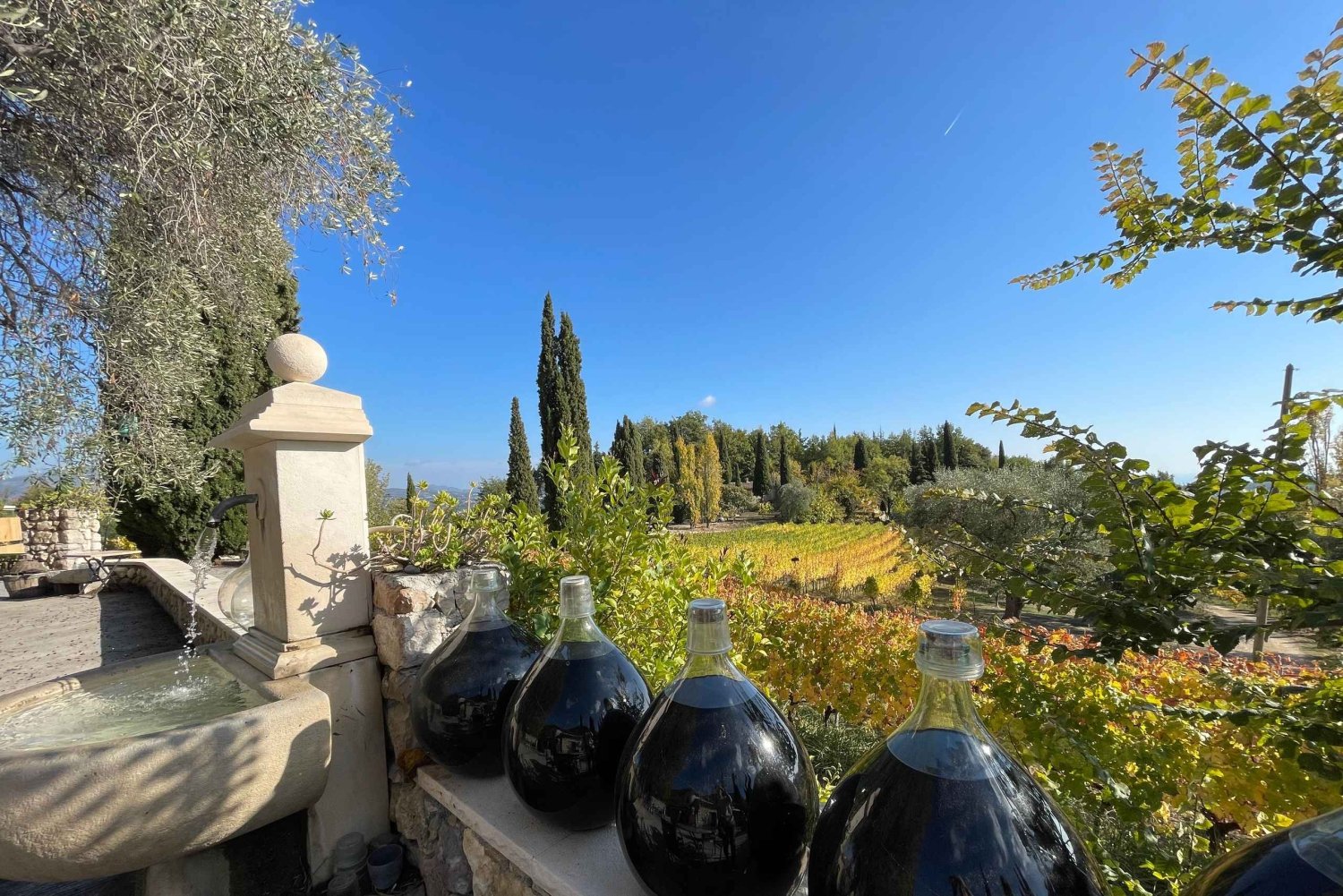 Full-Day Wine Tour in Bellet & Saint-Paul de Vence From Nice