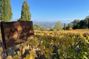 Full-Day Wine Tour in Bellet & Saint-Paul de Vence From Nice