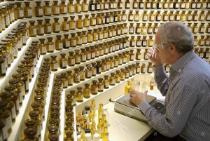 Grasse, Gourdon and local wine tasting