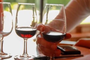 Grasse, Valbonne & Gourdon: Day Tour with Wine Tasting