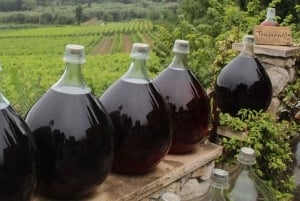 Grasse, Valbonne & Gourdon: Day Tour with Wine Tasting