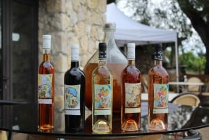 Grasse, Valbonne & Gourdon: Day Tour with Wine Tasting