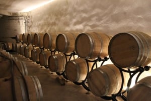 Grasse, Valbonne & Gourdon: Day Tour with Wine Tasting