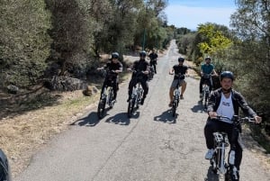 Guided tour of Nice by e-bike
