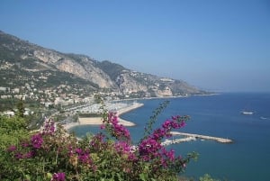 Italian Coast & Markets: Full-Day Small Group Trip