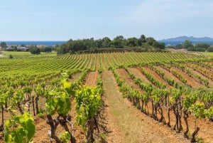 La Londe-les-Maures: Half-Day Wineries Tour with Tastings
