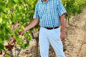 La Londe-les-Maures: Half-Day Wineries Tour with Tastings