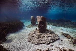 Marina Baie des Anges boat trip to the Pelagos Sanctuary