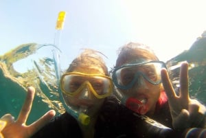 Marina Baie des Anges boat trip to the Pelagos Sanctuary