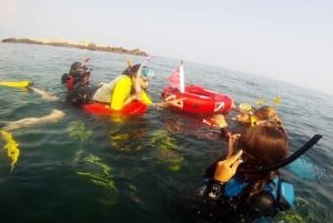 Marina Baie des Anges boat trip to the Pelagos Sanctuary