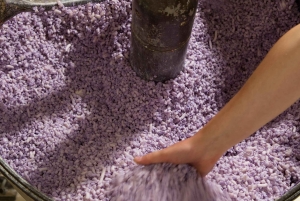 Monaco: Eze, Monte Carlo, and Monaco Private Tour