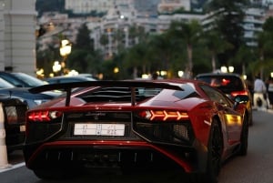 Monaco Private Walking Tour: Glamour, Royalty & Grandeur