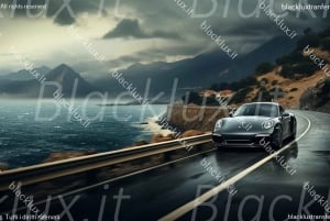 MONTECARLO: TRANSFER FROM AIRPORT MALPENSA TO MONTECARLO