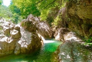 Mountain Train Experience: Hike & Mystic Forest (From Nice)