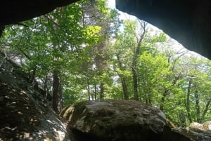 Mountain Train Experience: Hike & Mystic Forest (From Nice)