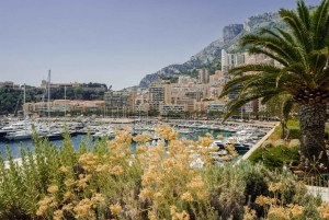 Nice: 2-hour Best Intro Walking Tour with a Local