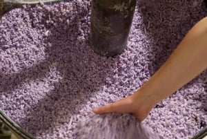 Nice: A Day in the Countryside from Glamour to Authenticity