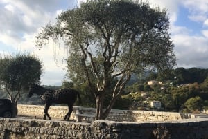 Nice: A Day in the Countryside from Glamour to Authenticity