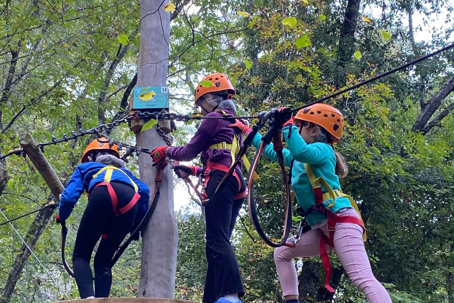 Nice: Adventure park in an exceptional natural setting