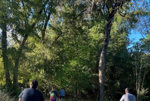 Nice: Adventure park in an exceptional natural setting