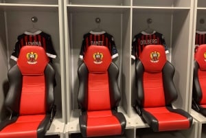 Nice: Allianz Stadium and National Sports Museum Tour
