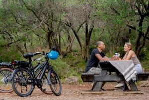 Nice: Bike and E-Bike Rental