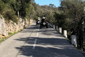 NICE BY ELECTRIC QUAD:panoramic tour from Nice