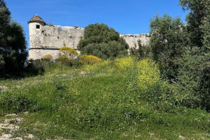 NICE BY ELECTRIC QUAD:panoramic tour from Nice