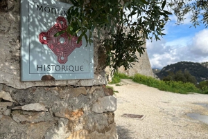 NICE BY ELECTRIC QUAD:panoramic tour from Nice