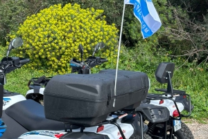 NICE BY ELECTRIC QUAD:panoramic tour from Nice