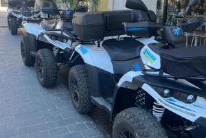 NICE BY ELECTRIC QUAD:panoramic tour from Nice