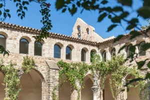 Nice: Full Day Trip Private Wine Tour (Cremat and more)