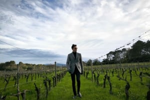 Nice: Full Day Trip Private Wine Tour (Cremat and more)