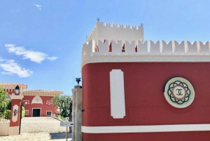 Nice City, Villefranche sur Mer and Wine Tasting